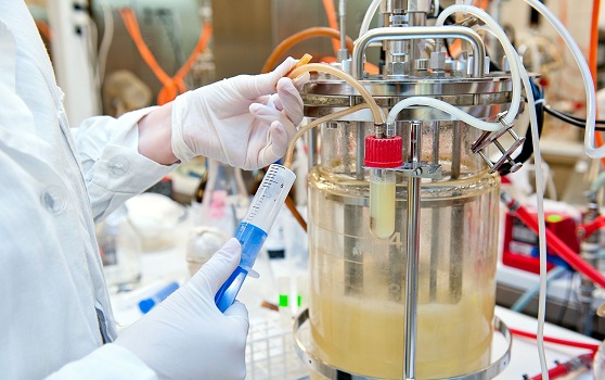 Bioreaktor in Benutzung, Bioprocessing, Fermentermarkt