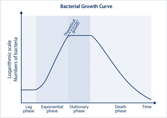 Wachstumskurve einer statischen Bakterienkultur in einem Bioreaktor